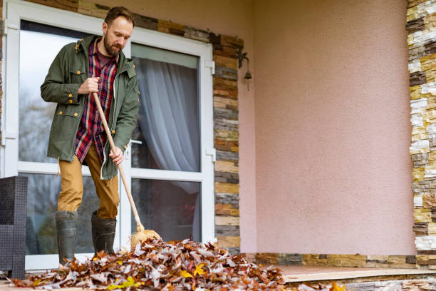 Best Basement Cleanout Services  in Ridgefield, WA